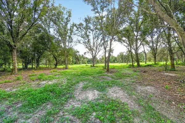 4415 VERNA BETHANY RD, Myakka City, FL 34251
