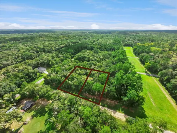 10075 N BAMBOO WAY, Citrus Springs, FL 34434