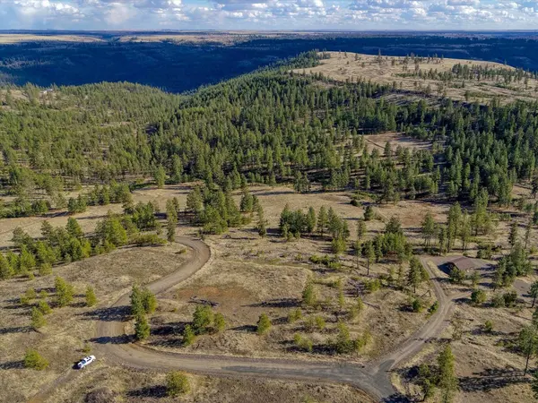 31008 Meadow Ln, Davenport, WA 99122