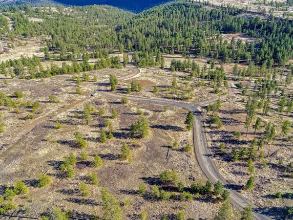 31008 Meadow Ln, Davenport, WA 99122
