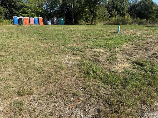 1111 Willow ST, Fredericktown, MO 63645