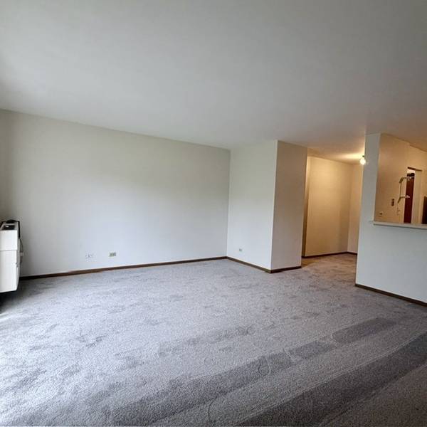 33661 N Royal Oak LN #105, Grayslake, IL 60030