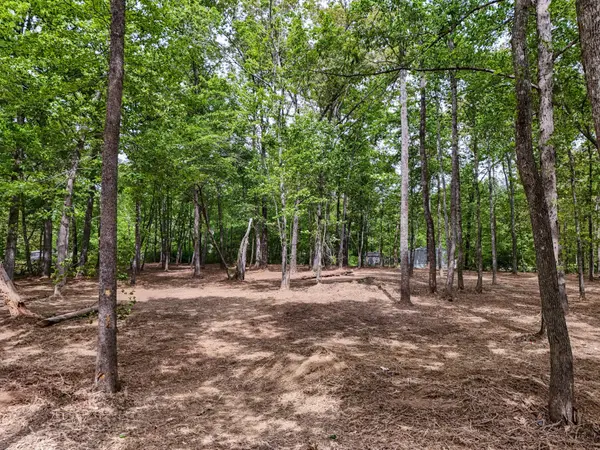 0 Lakewood Dr, Beechgrove, TN 37018