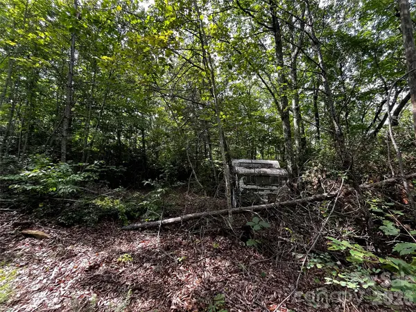 462 Autumn Forest DR, Gerton, NC 28735