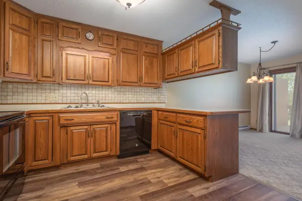1346 Latoka Drive CT SW, Alexandria, MN 56308