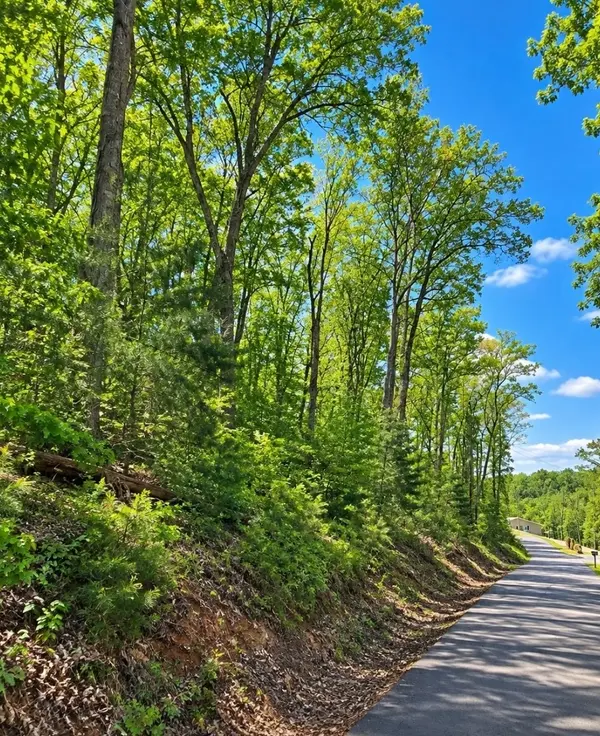 1 Trail Lane, Gray, TN 37615
