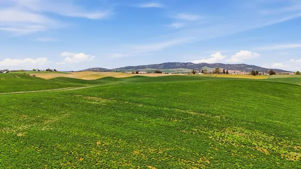 11879 E Elder Rd, Valleyford, WA 99036