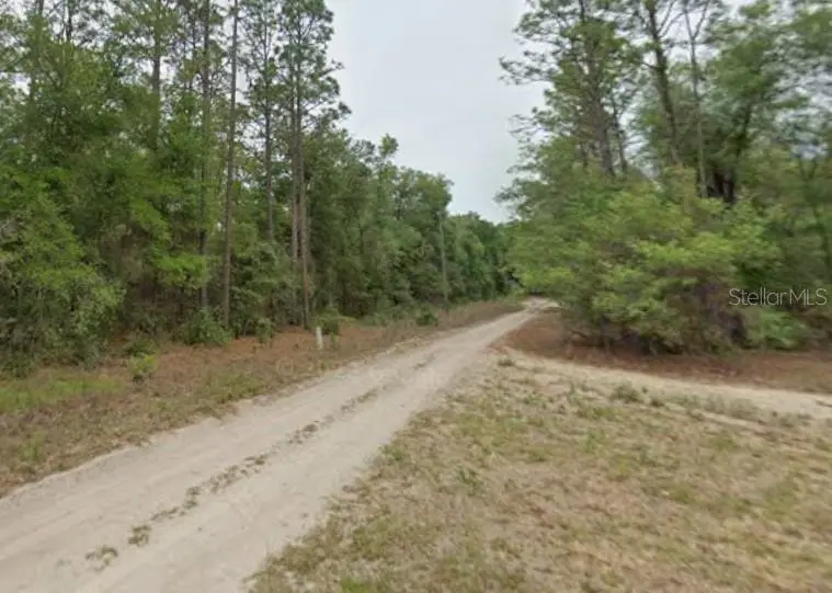 7715 & 7691 W RAINBOW ST, Dunnellon, FL 34433