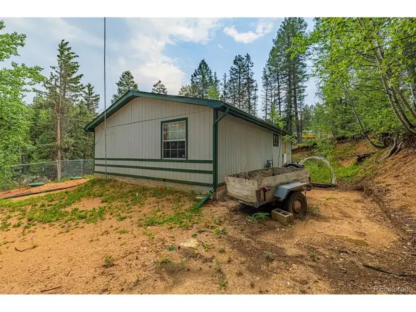 22 Silver, Florissant, CO 80816
