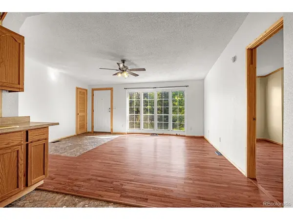 22 Silver, Florissant, CO 80816