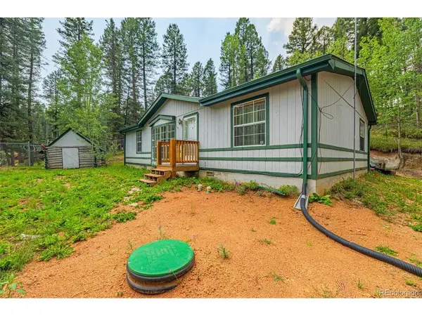 22 Silver, Florissant, CO 80816
