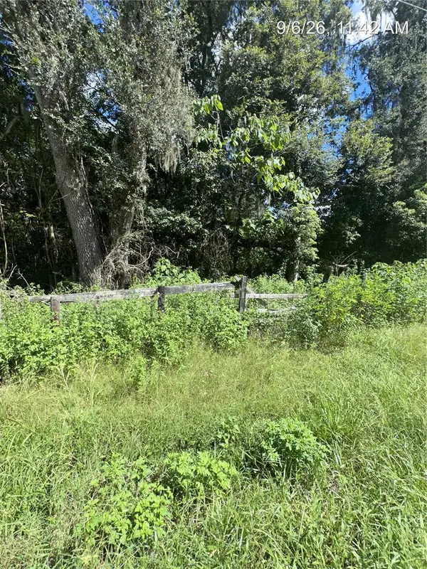 TBD NW 110TH ST, Reddick, FL 32686
