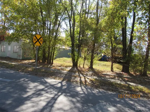 301 Delaware ST, Louisiana, MO 63353
