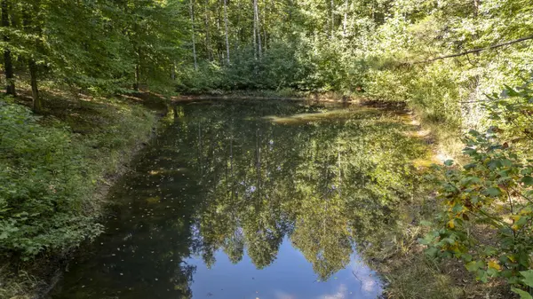 358 COMBS CEMETERY RD, Adamsville, TN 38310