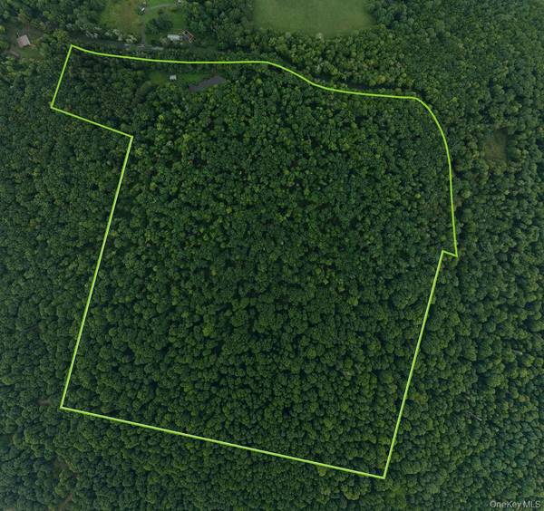 632 New Turnpike RD, Cochecton, NY 12726