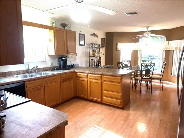 1501 NUEVA PL, The Villages, FL 32159