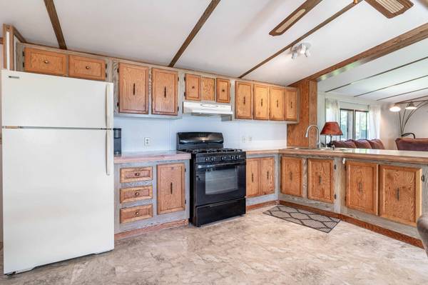 34699 Buddy LN, Dent, MN 56528