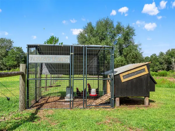 2827 HAMMOCK GROVE RD, Groveland, FL 34736