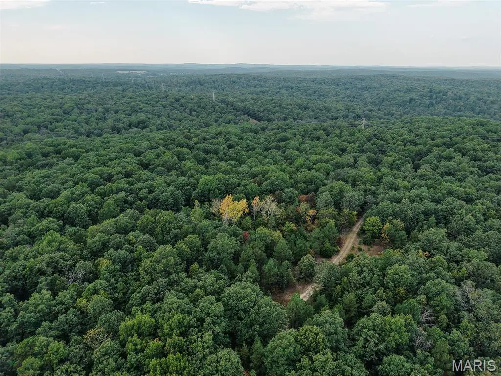 250.96 +/- Delbridge Road, Potosi, MO 63664