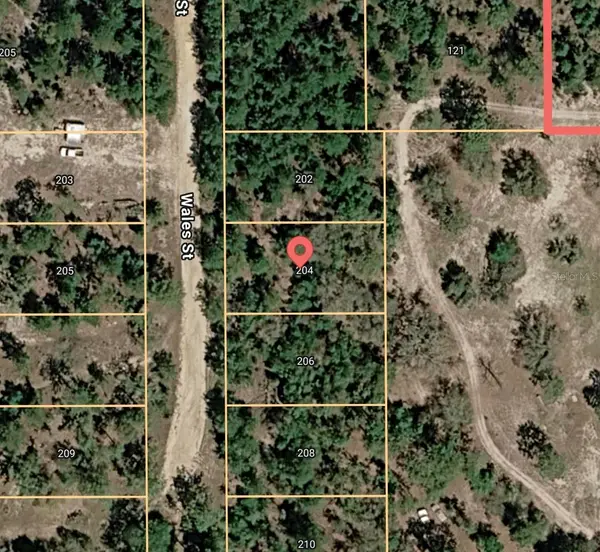 204 WALES ST, Interlachen, FL 32148
