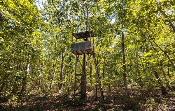 5 Buck Mountain Road, Doe Run, MO 63637