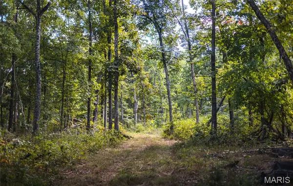 5 Buck Mountain Road, Doe Run, MO 63637