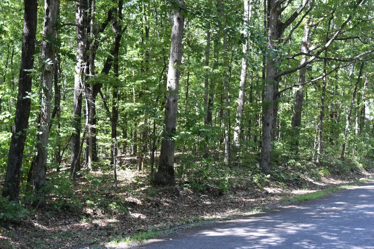 0 Lower Firetower Road, Sequatchie, TN 37374