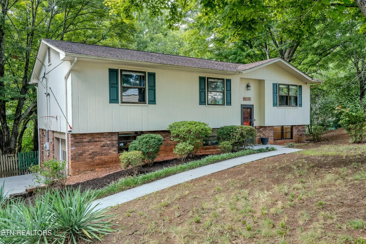 7803 Binfield Court, Powell, TN 37849