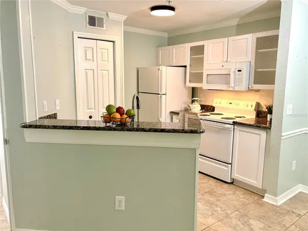 18107 PEREGRINES PERCH PL #6111, Lutz, FL 33558