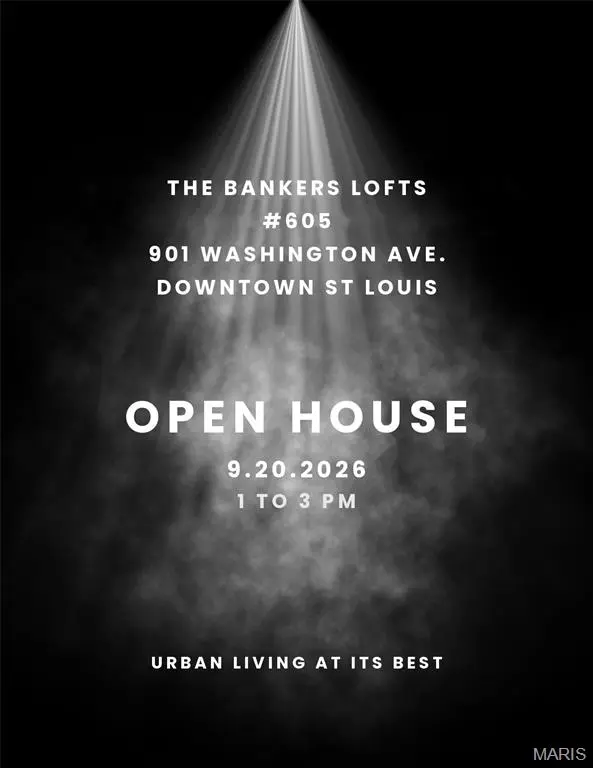 901 Washington AVE #605, St Louis, MO 63101