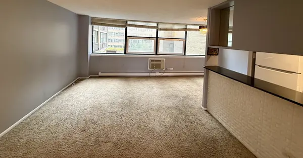3110 N Sheridan RD #505, Chicago, IL 60657