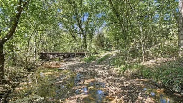 0 Opossum Paw Road, Beechgrove, TN 37018