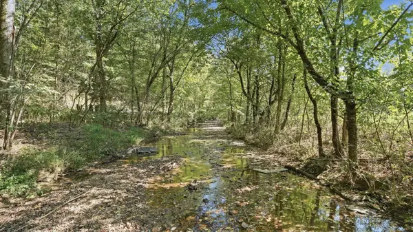 0 Opossum Paw Road, Beechgrove, TN 37018