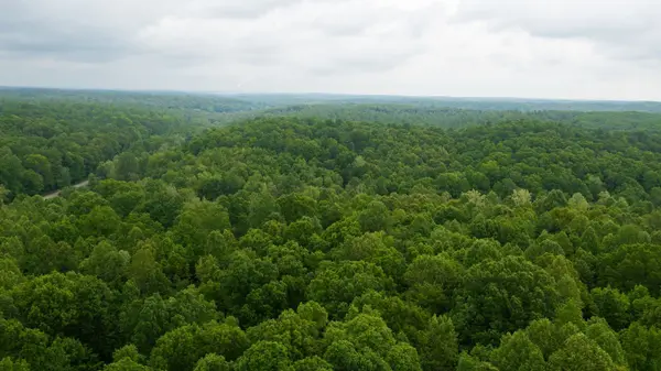 2100 Highway 13, Erin, TN 37061