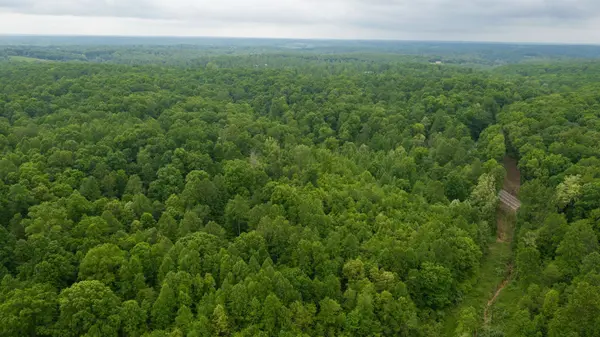 2100 Highway 13, Erin, TN 37061