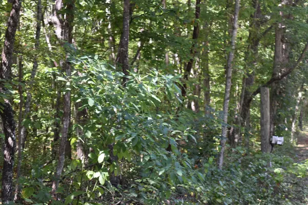 0 Lower Firetower Road, Sequatchie, TN 37374