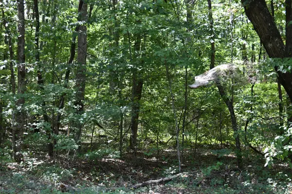 0 Lower Firetower Road, Sequatchie, TN 37374