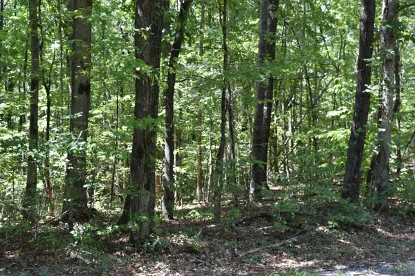 0 Lower Firetower Road, Sequatchie, TN 37374