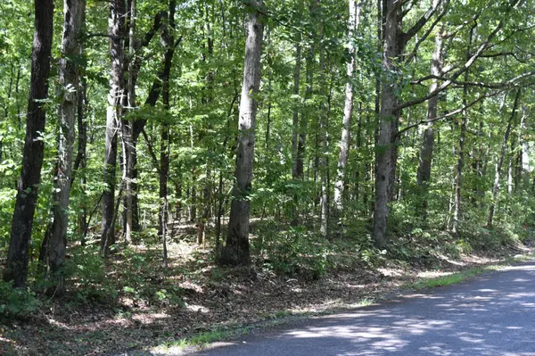 0 Lower Firetower Road, Sequatchie, TN 37374