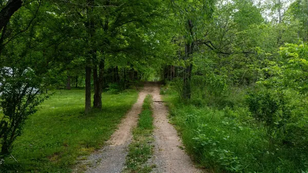 2100 Highway 13, Erin, TN 37061