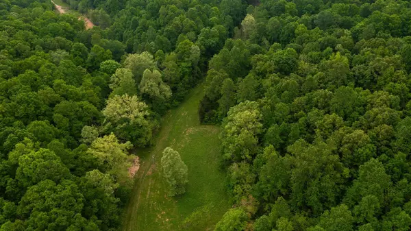 2100 Highway 13, Erin, TN 37061