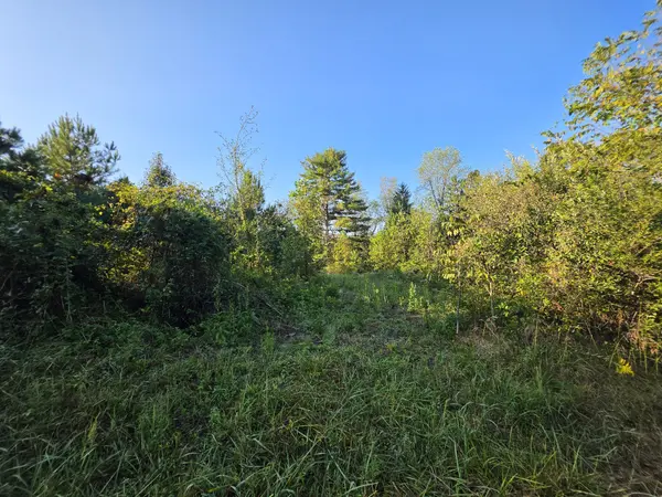 4 Rock Avenue, Palmer, TN 37365