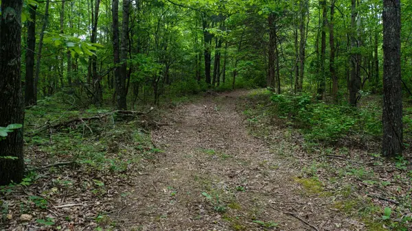 2100 Highway 13, Erin, TN 37061