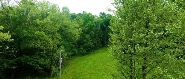 2100 Highway 13, Erin, TN 37061