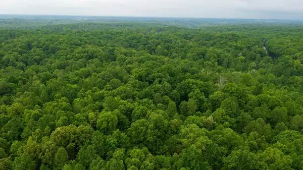 2100 Highway 13, Erin, TN 37061