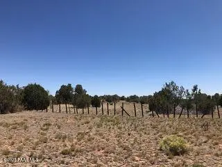 0 Parcel # 301-31-064a & B, Seligman, AZ 86337
