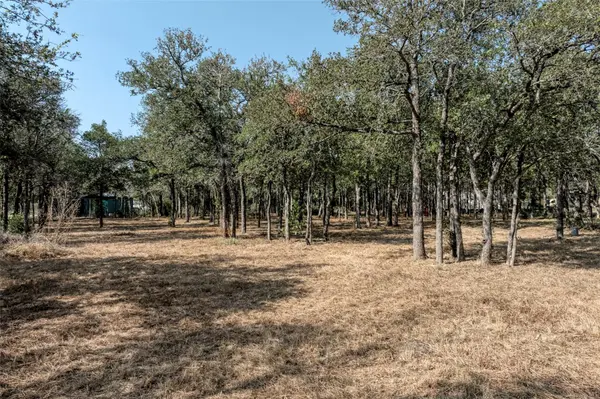 222 Rio Vista Ranch RD, Del Valle, TX 78617