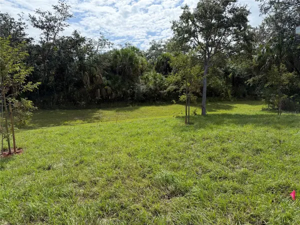 404 PARAMARIBO ST, Punta Gorda, FL 33983