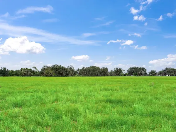 LAKE BUFFUM RD N, Fort Meade, FL 33841