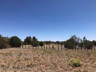 0 Parcel # 301-31-064a & B, Seligman, AZ 86337
